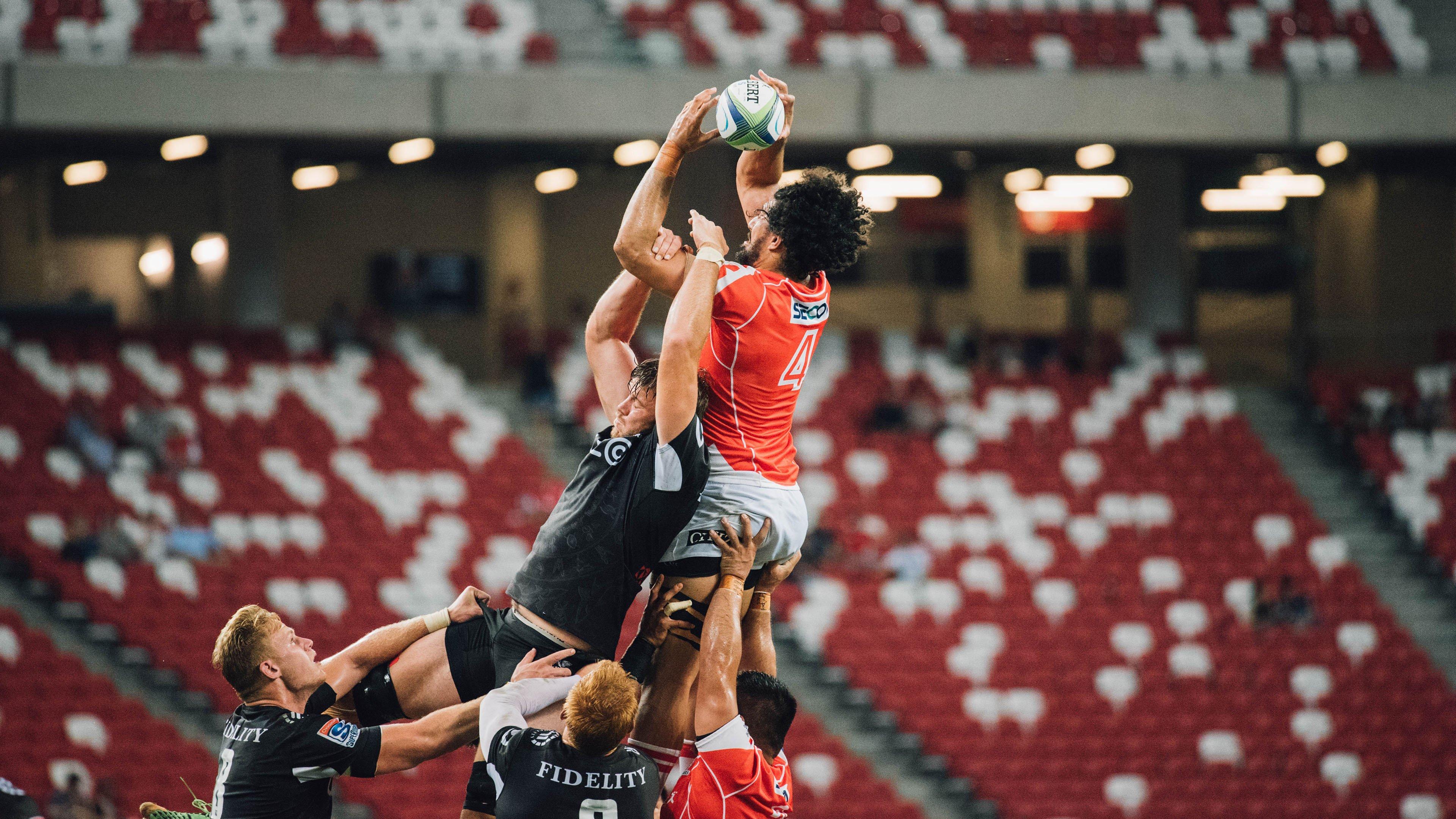 德天空独家，霍芬海姆锁定维季克 中卫补强计划进入关键谈判阶段